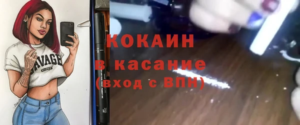 крисы Алексин