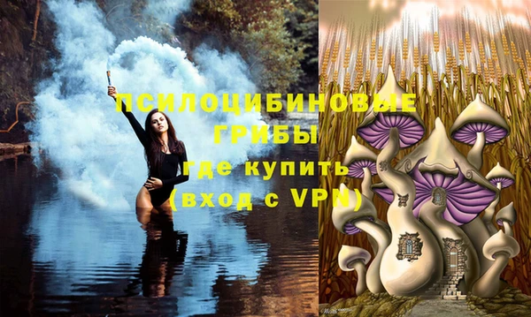 не бодяженный Краснослободск