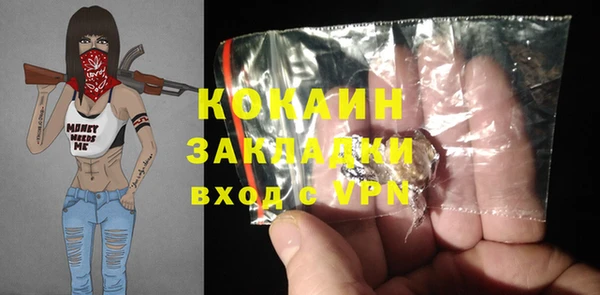 крисы Алексин
