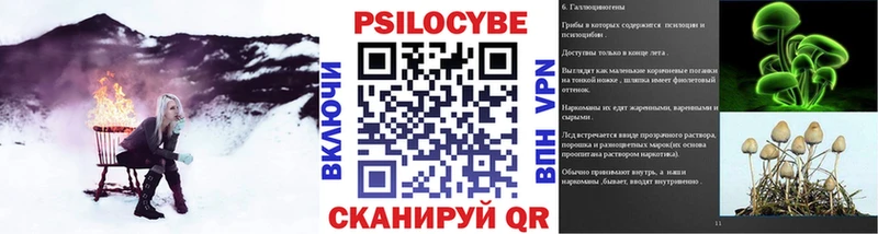купить закладку  Москва  Псилоцибиновые грибы Cubensis 